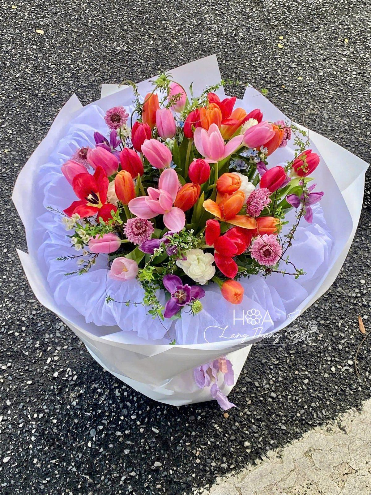 50 bông tulip mix