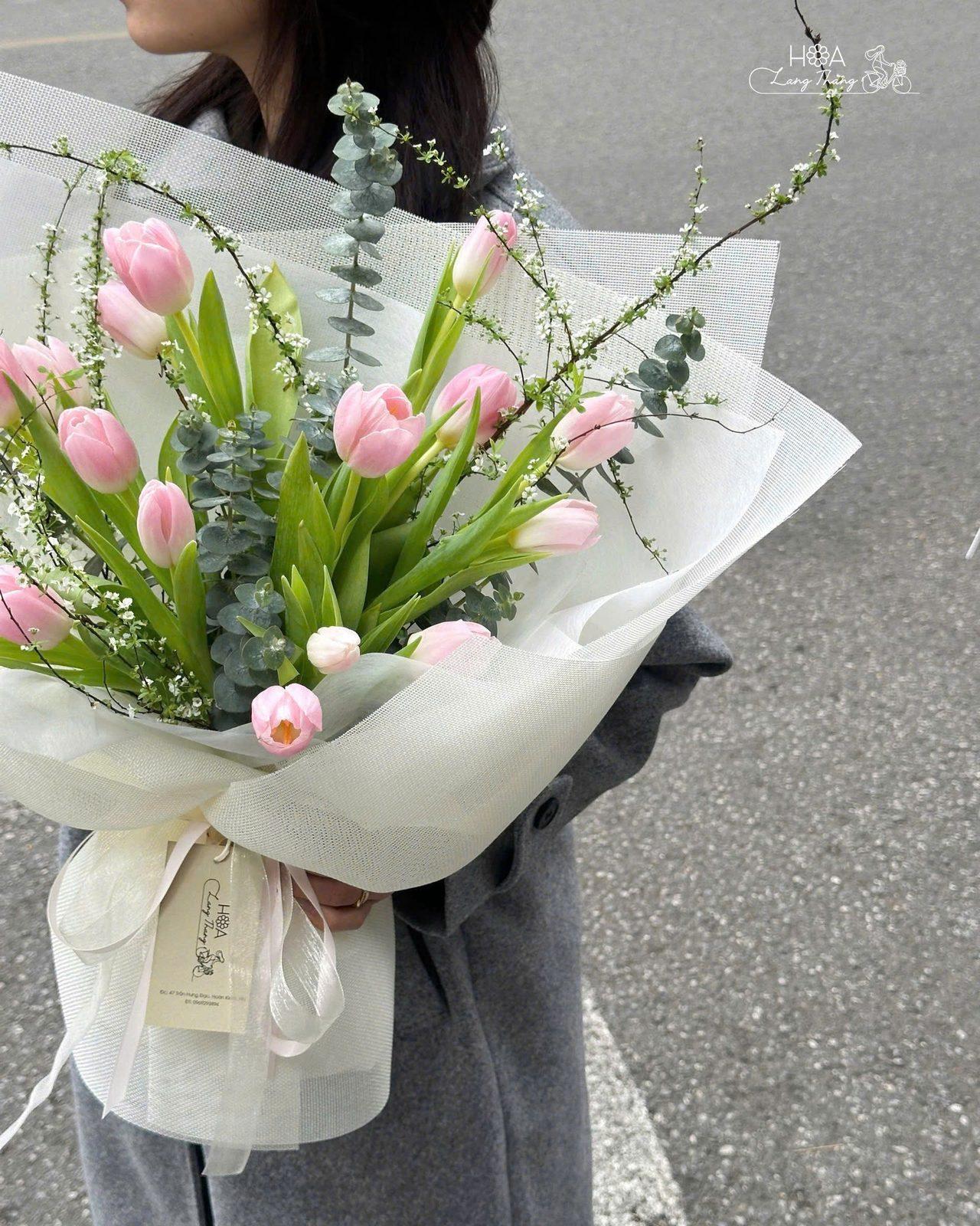 Tuliip hồng mix