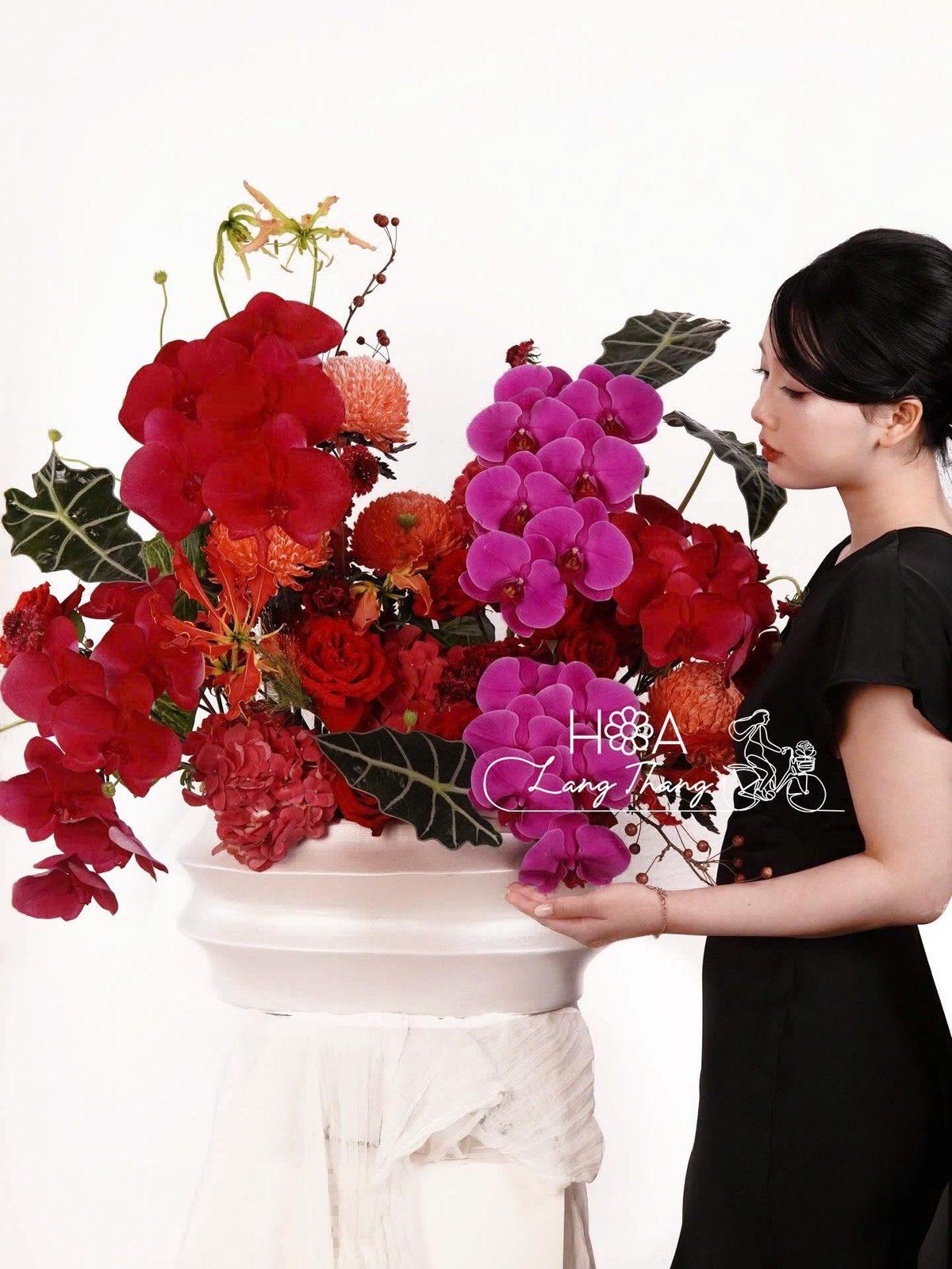 Bình lan hồ điệp mix
