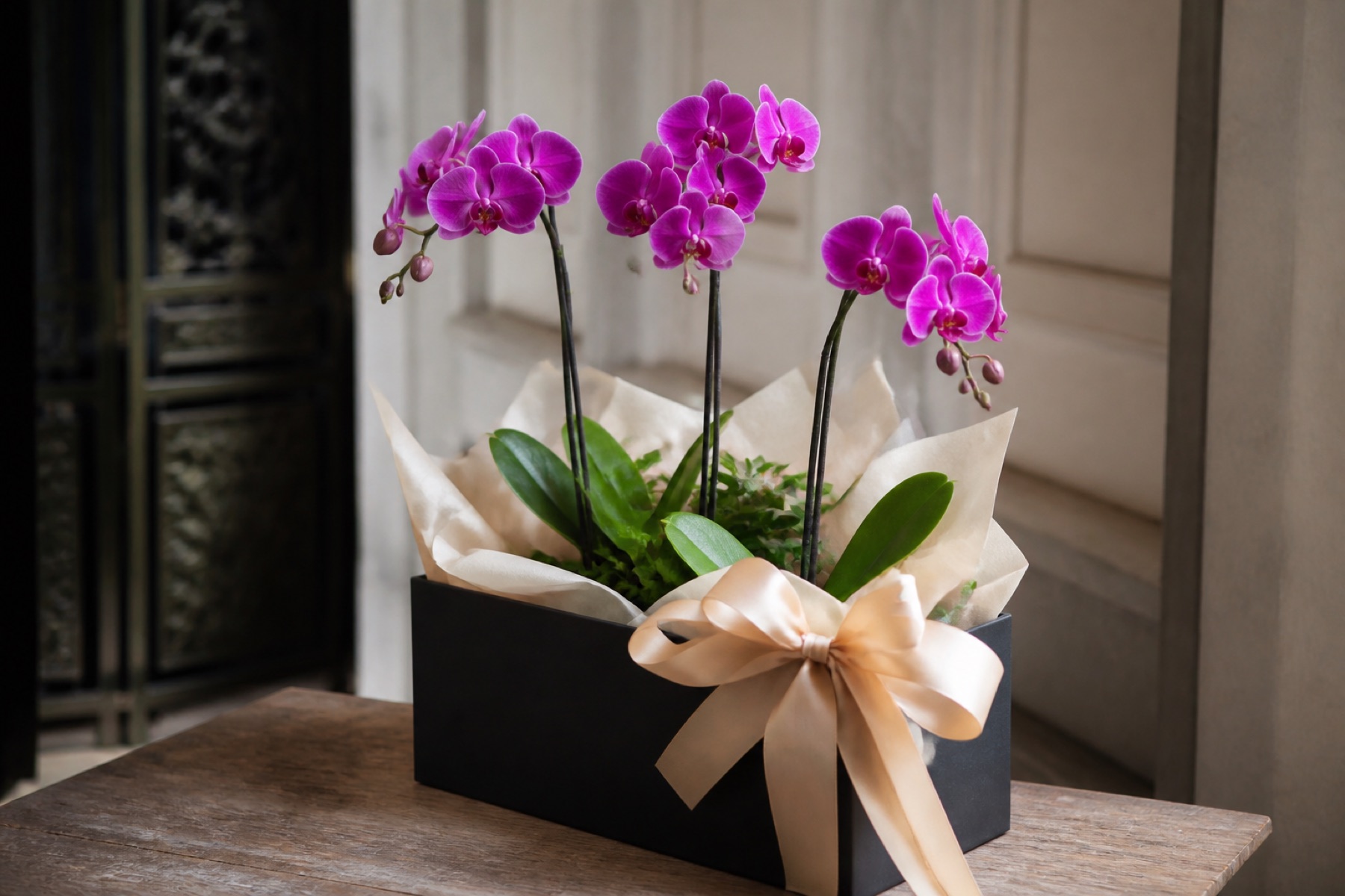 lan hồ điệp 3 cành để bàn công ty