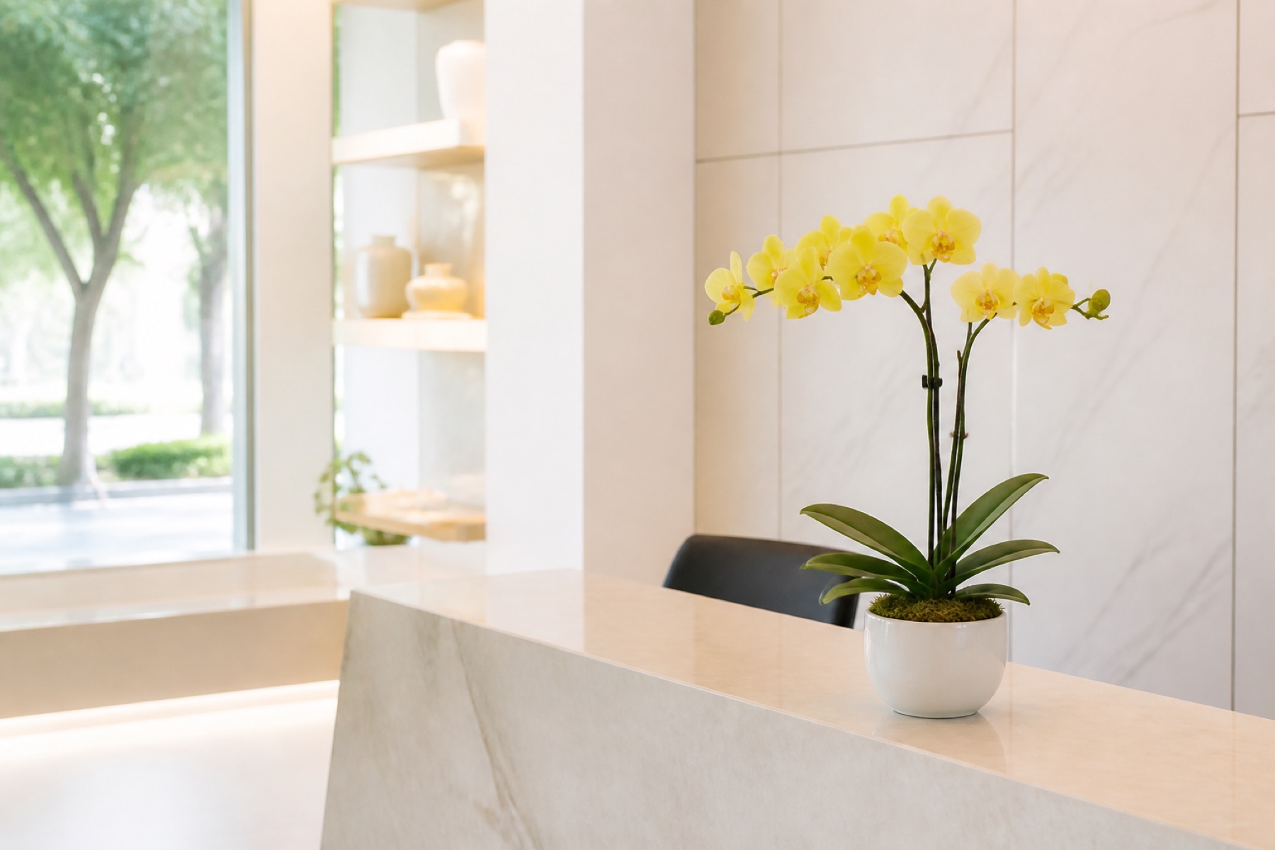 Lan Hồ Điệp Vàng Để Bàn Phong Thuỷ Hà Nội – Mang Tài Lộc
#