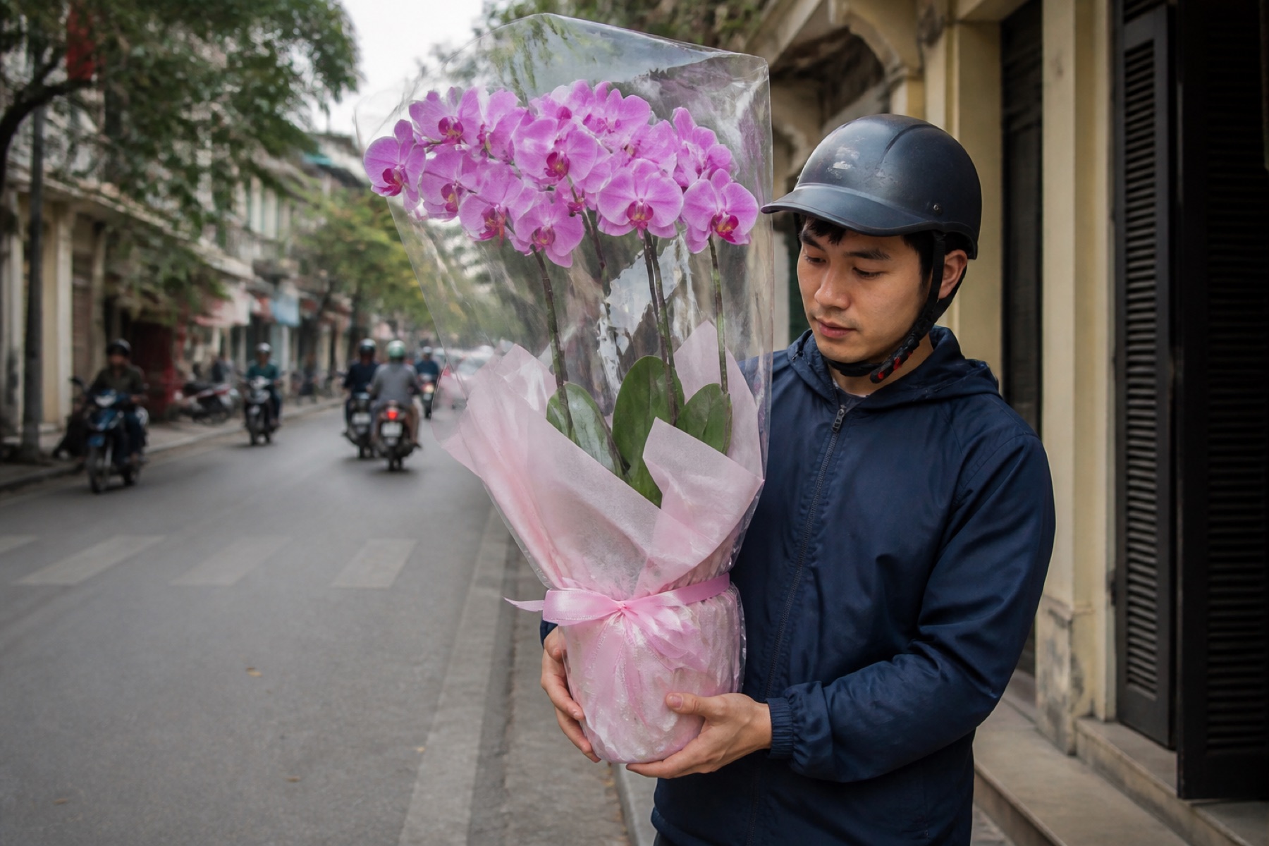 lan hồ điệp để bàn tây bắc Hà Nội chiết