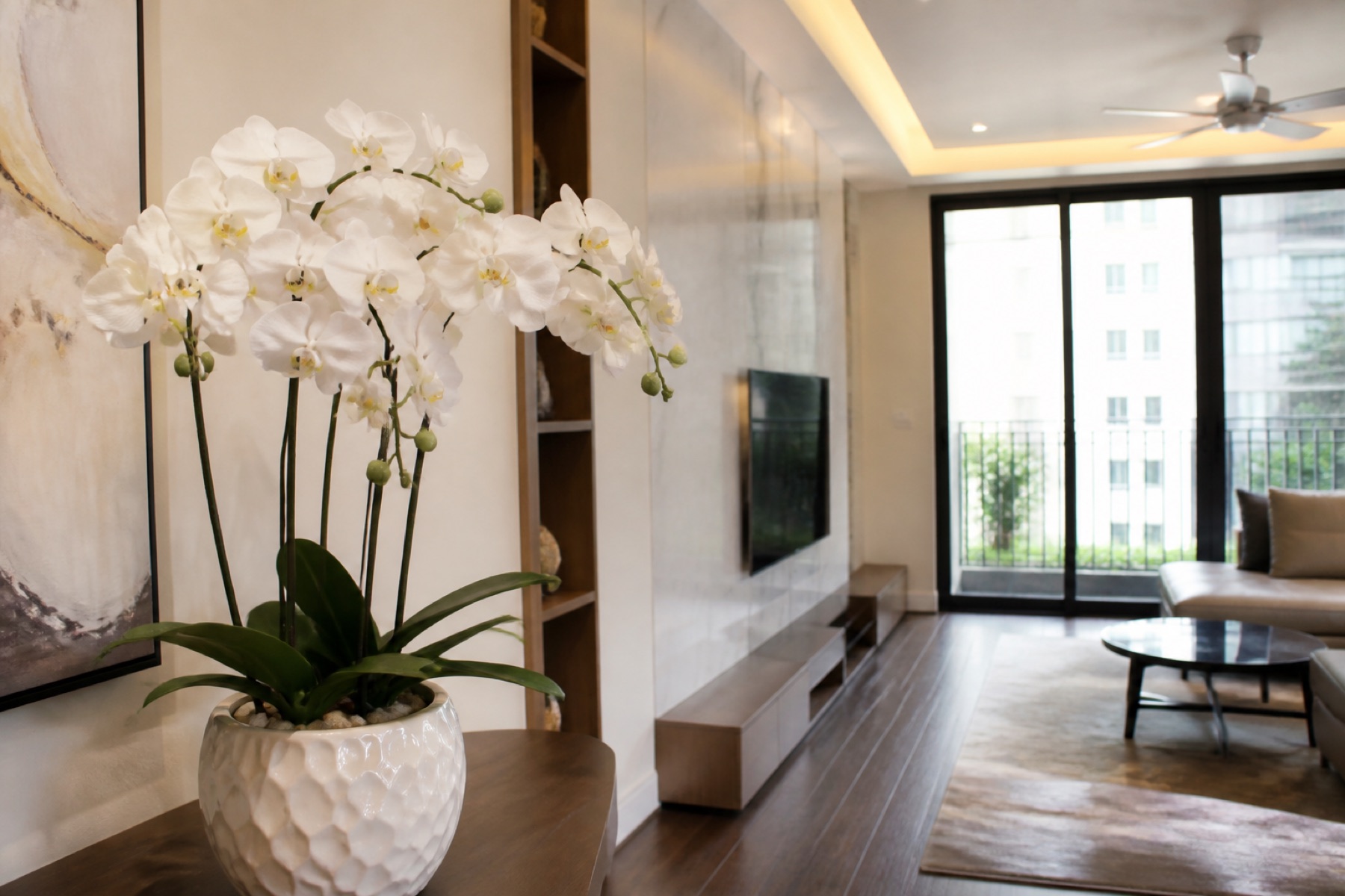 Lan hồ điệp để bàn tặng đôi vợ chồng trẻ — Hà Nội