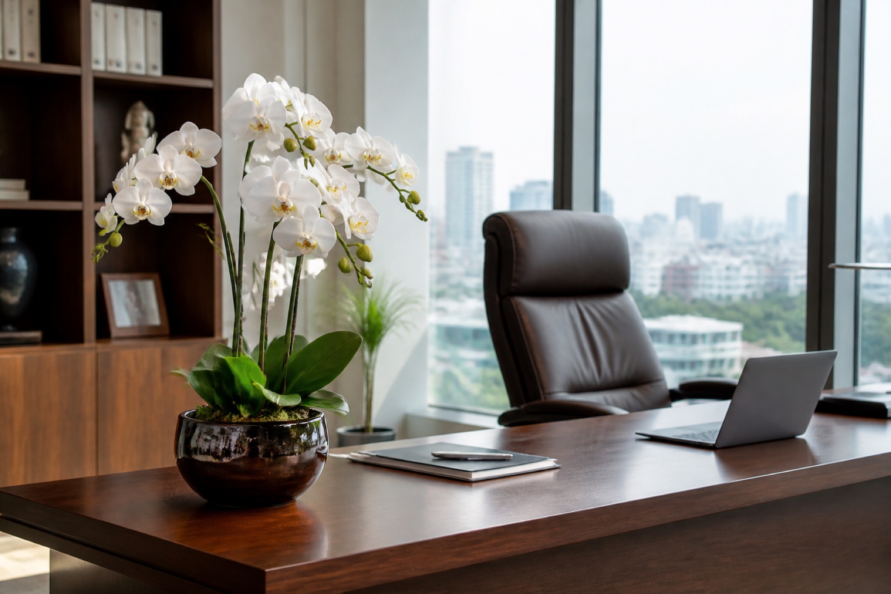 lan hồ điệp để bàn tặng lãnh đạo nữ