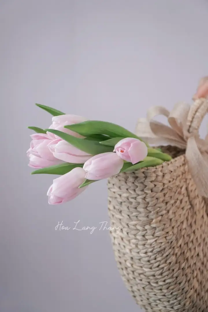 Đặt Hoa Hồng Preserved Hà Nội — Vẻ Đẹp Vĩnh Cửu Từ Hoa Lang Thang
