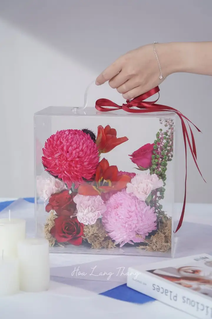 Hoa Cẩm Chướng Tặng Thầy Cô 20 Tháng 11
