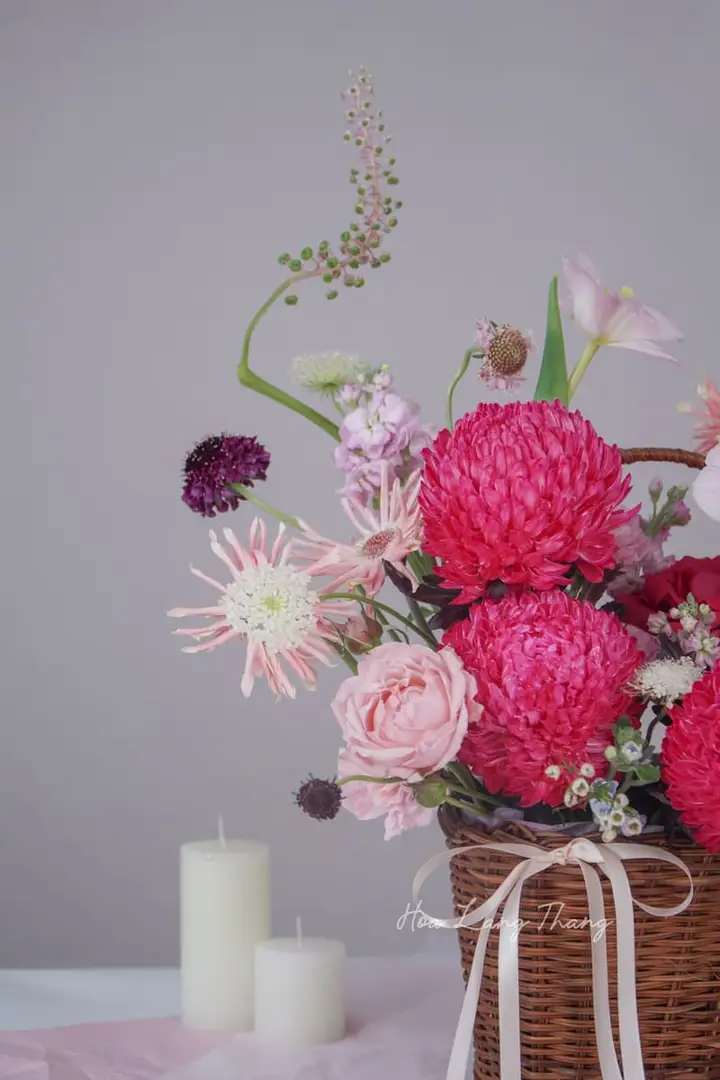 Hoa Cúc Đại Đóa Chrysanthemum Premium