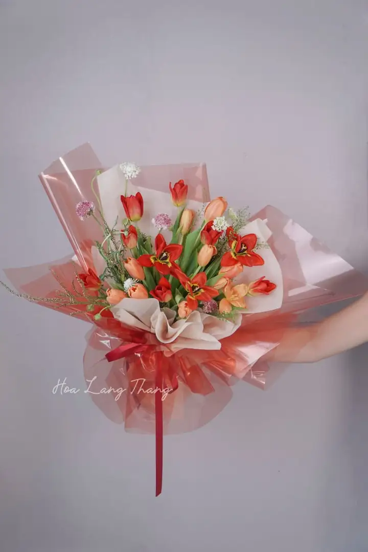 Hoa Dahlia Dinner Plate Khổng Lồ