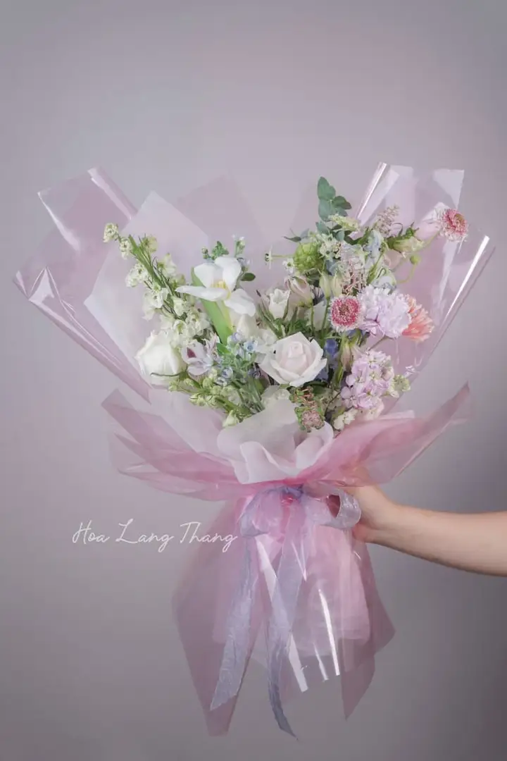 Hoa Dahlia Nhật Bản Nhập Khẩu Hiếm