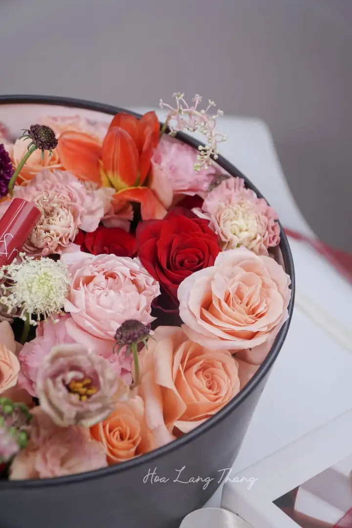 Hoa Mẫu Đơn Nhật Bản Mùa Xuân Đẹp — Vẻ Kiêu Sa Từ Xứ Phù Tang