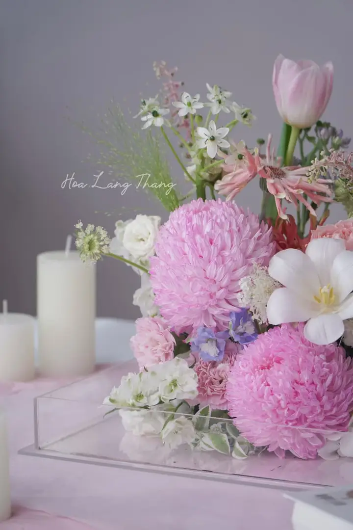 Hoa Phong Lan Cattleya Hiếm Đẹp