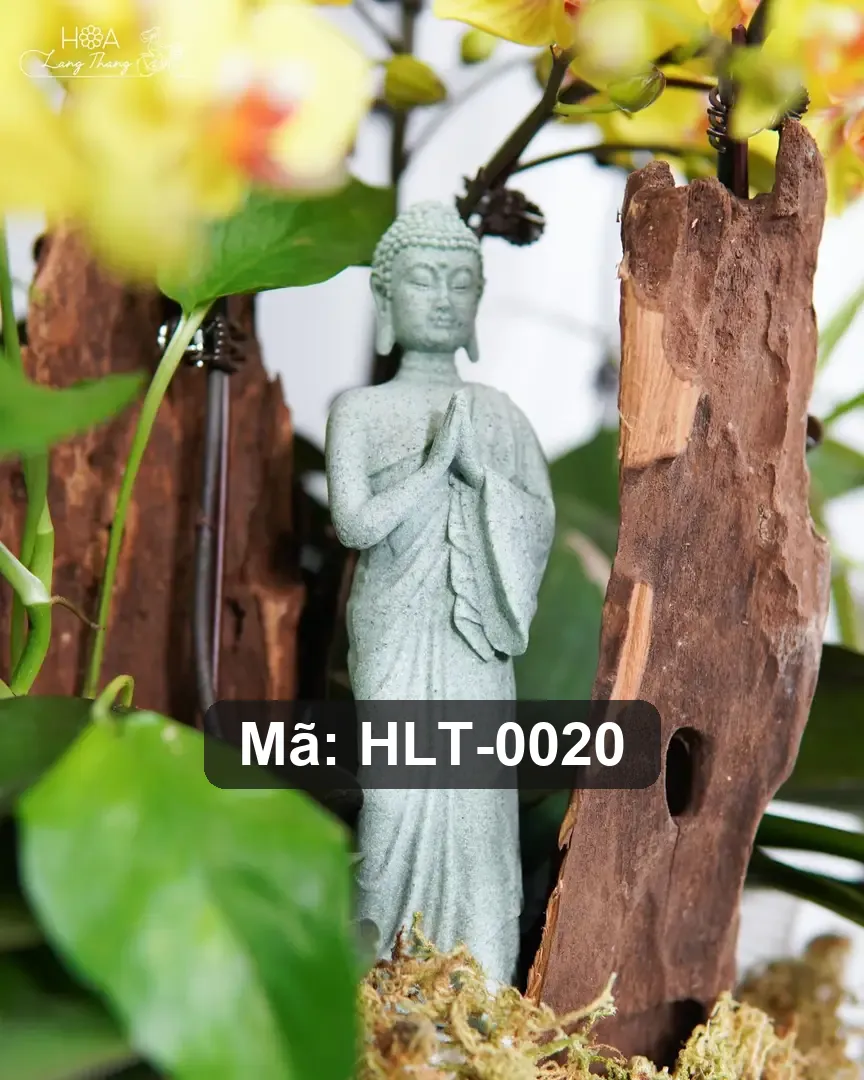 Chậu lan hồ điệp mix lụa - Orchid Elegance - Thumbnail 2