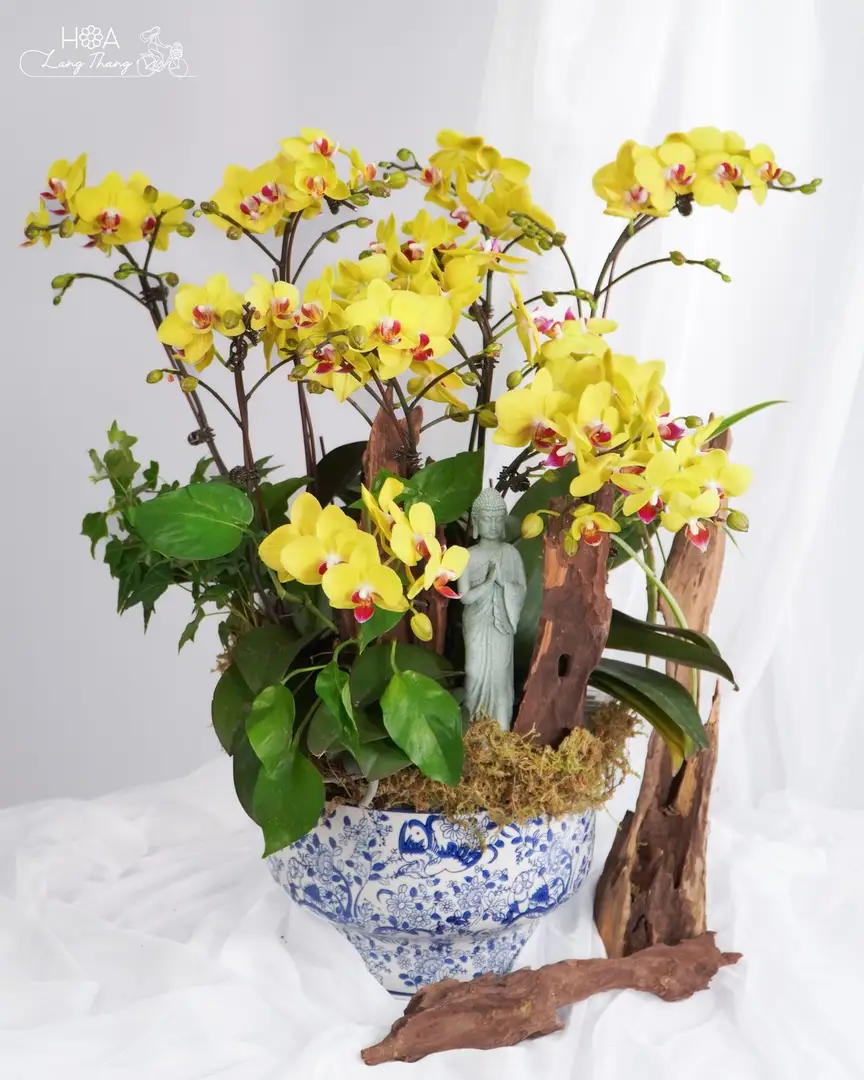 Chậu lan hồ điệp mix lụa - Orchid Elegance - Thumbnail 3