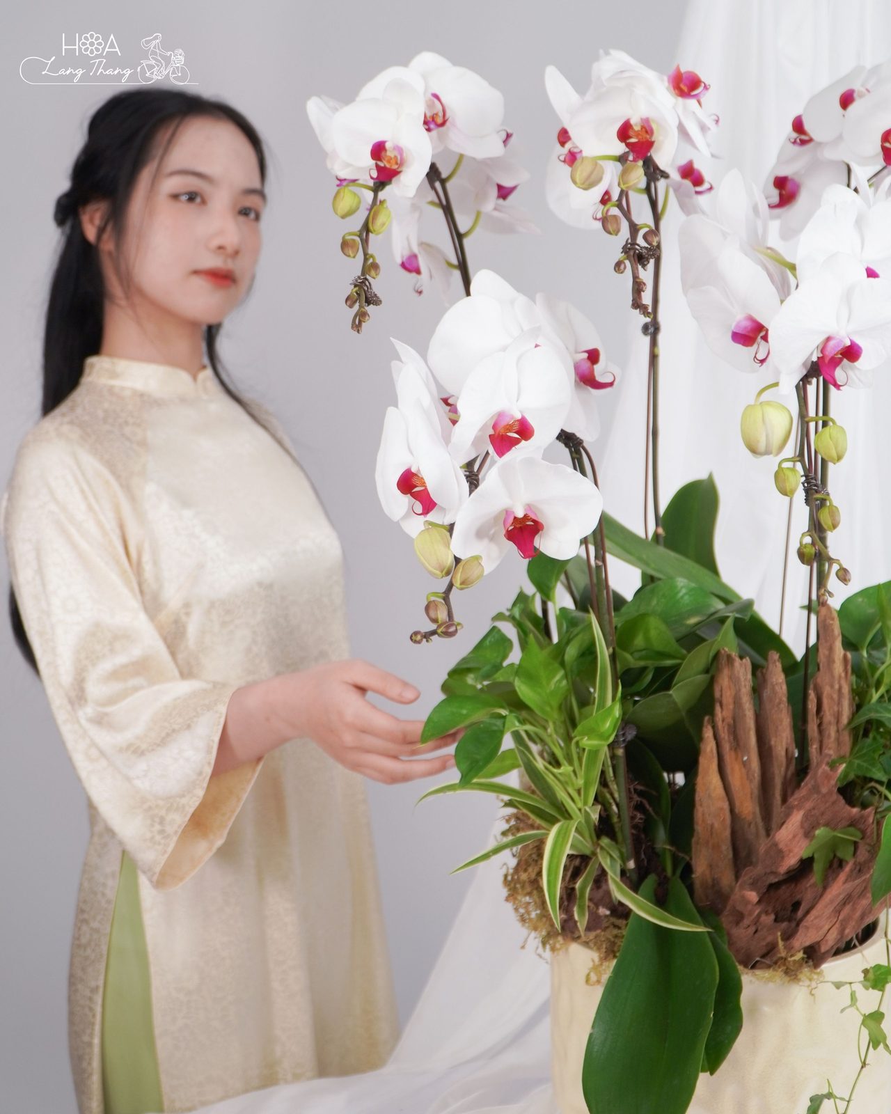 Điện Hoa Tặng Sếp & Đối Tác Sang Trọng Hà Nội – Giao 2h
