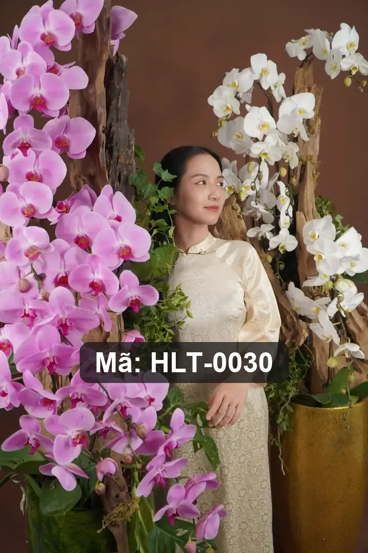 Chậu lan hồ điệp lụa cao cấp - Eternal Orchid Grace - Thumbnail 8