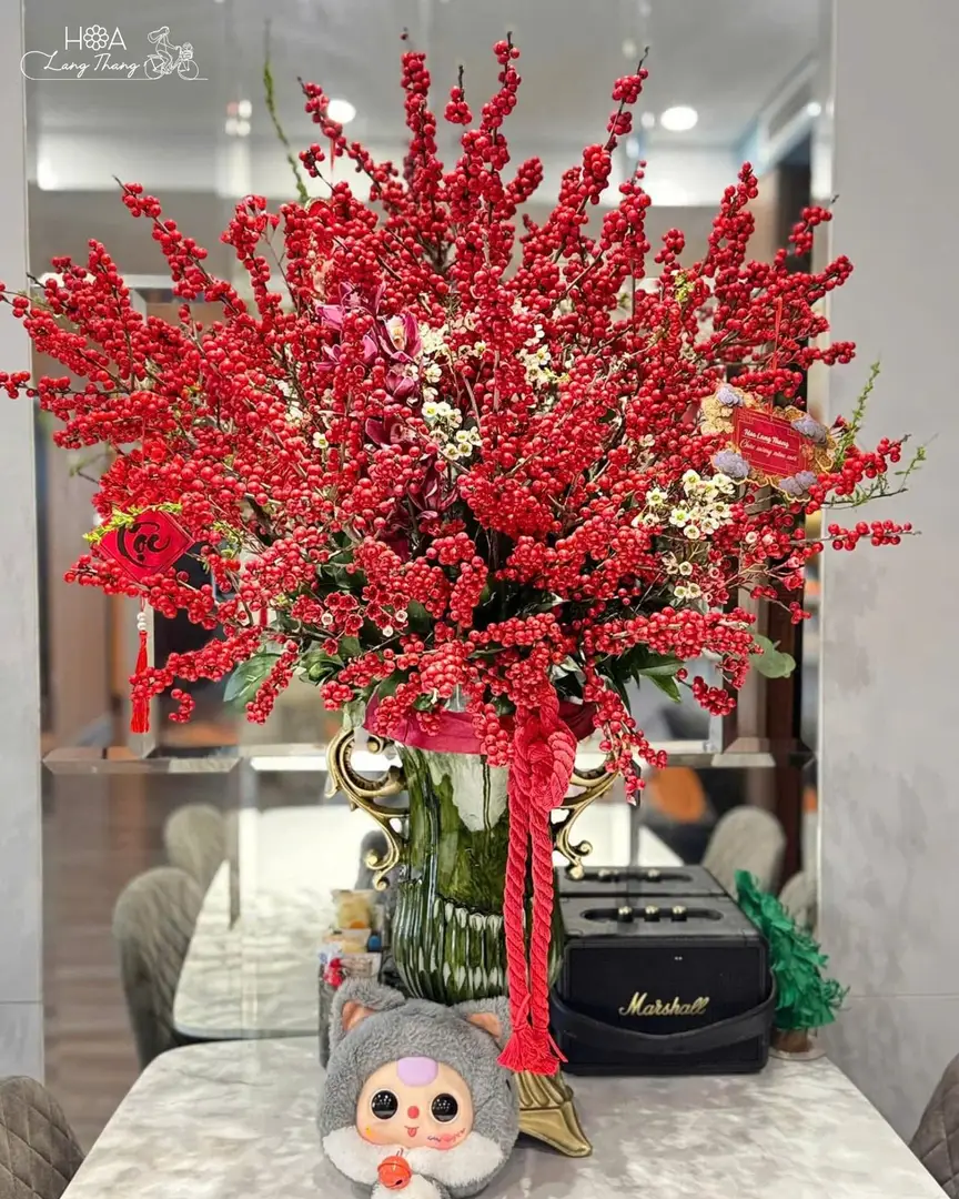 Bình hoa lan hồ điệp mica xanh - Orchid Elegance - Hoa Lang Thang