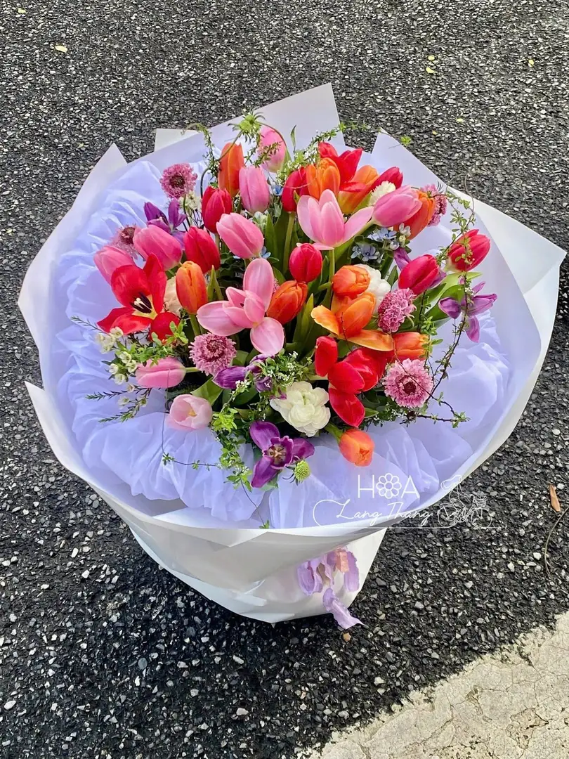 Bó hoa tulip mix Hà Lan gỗ gardening - Dutch Elegance
