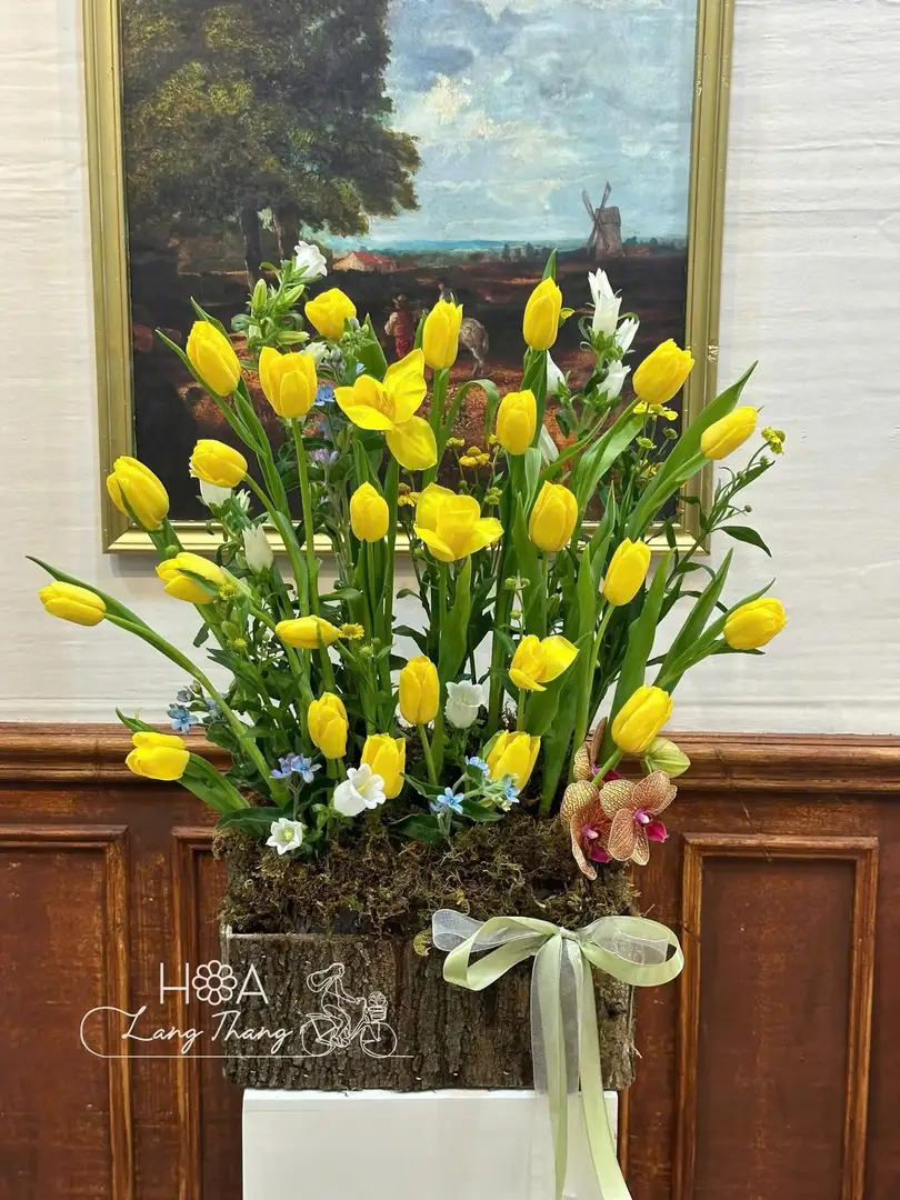Lẵng hoa tulip vàng gỗ - Golden Whisper
