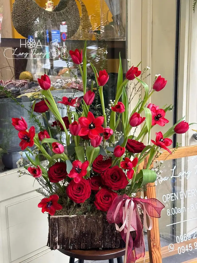 Lẵng hoa tulip đỏ gardening - Crimson Elegance - Thumbnail 3