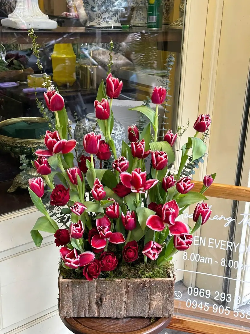 Lẵng hoa tulip đỏ gardening - Crimson Elegance - Thumbnail 4