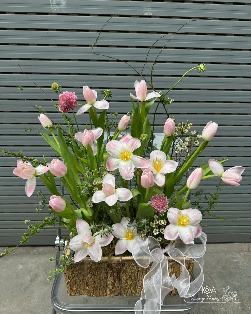 Điện Hoa Tulip Chúc Mừng Ở Hà Nội | Giao Tận Nơi 2h | Hoa Lang Thang