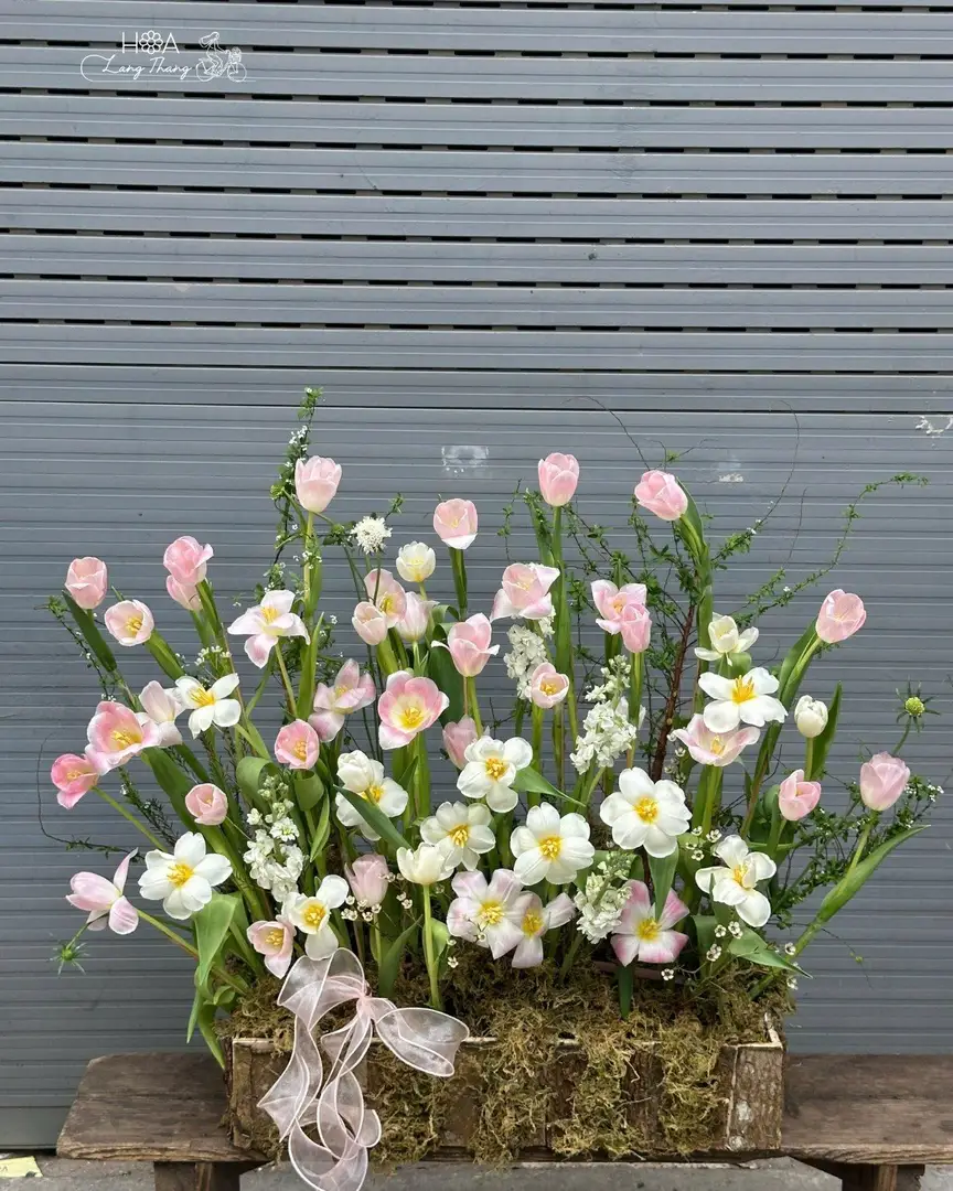 Lẵng hoa tulip hồng nhạt mix cúc trắng - Soft Elegance