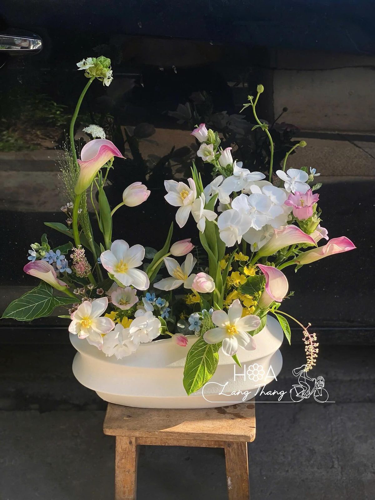 Bình hoa tulip mix gỗ gardening - Flowing Elegance