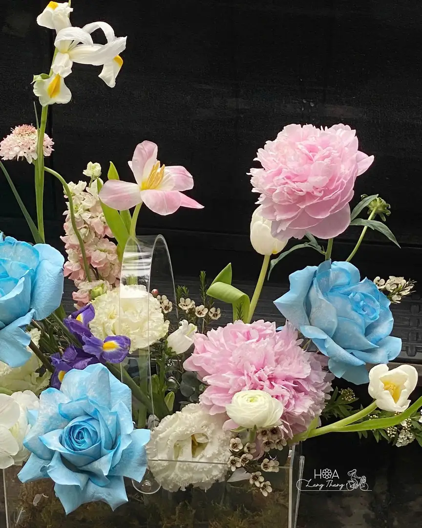 Hộp hoa hồng mẫu đơn Ecuador mix mica - Peony Elegance