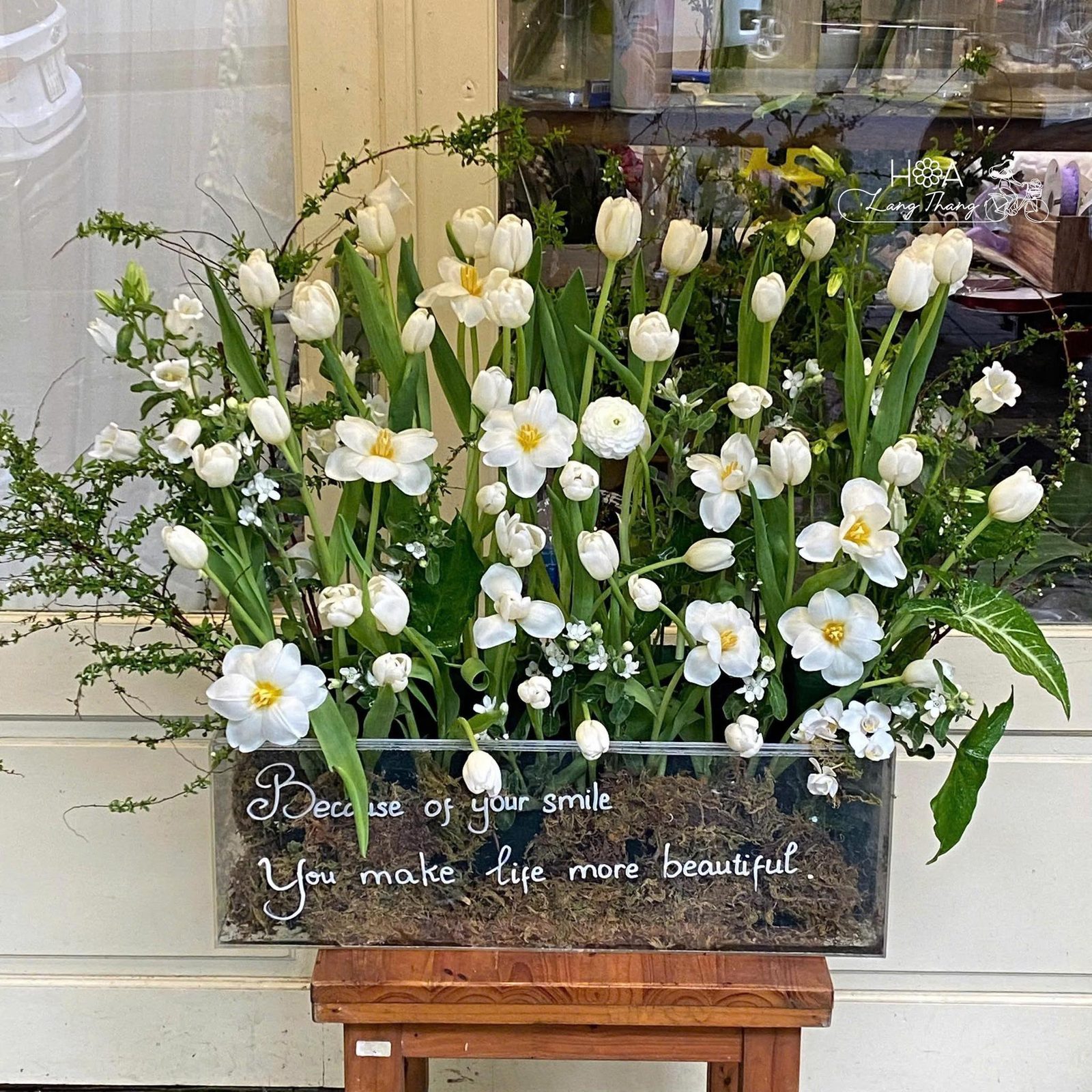 Hộp hoa tulip Hà Lan size lớn mica - Dutch Elegance