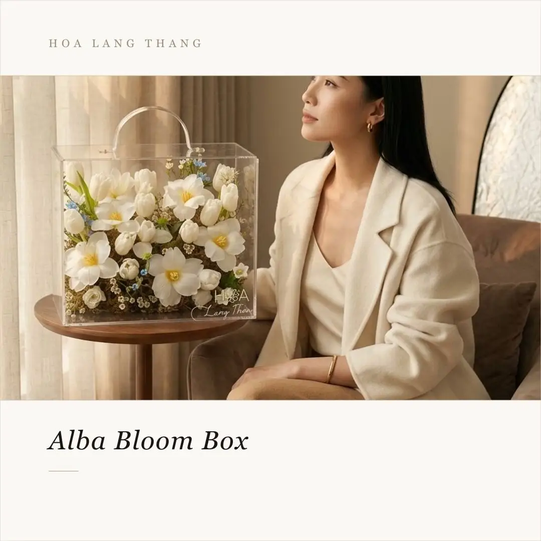 Hộp hoa tulip trắng mica nhập khẩu - White Elegance