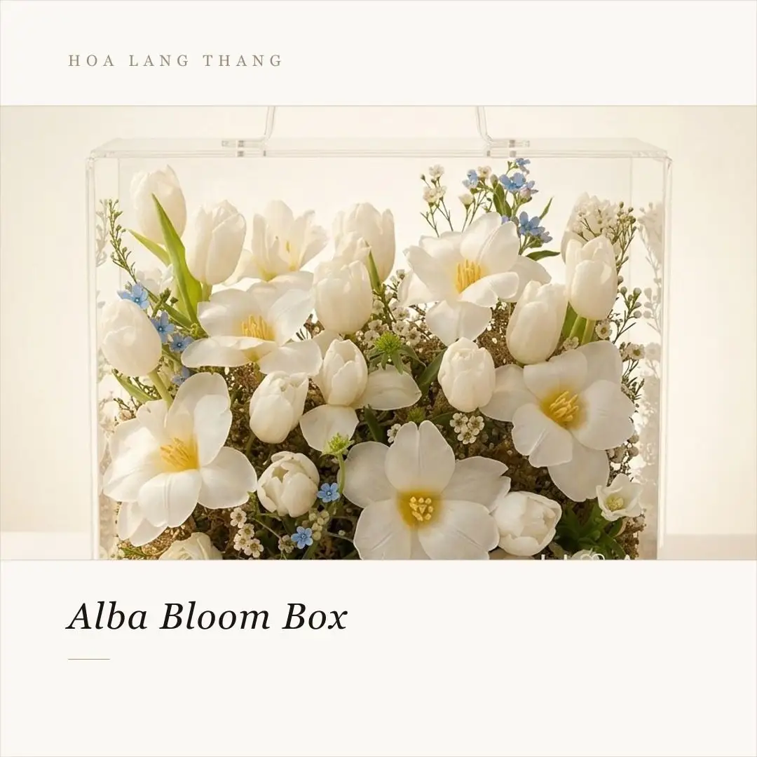 Hộp hoa tulip trắng mica nhập khẩu - White Elegance — góc khác