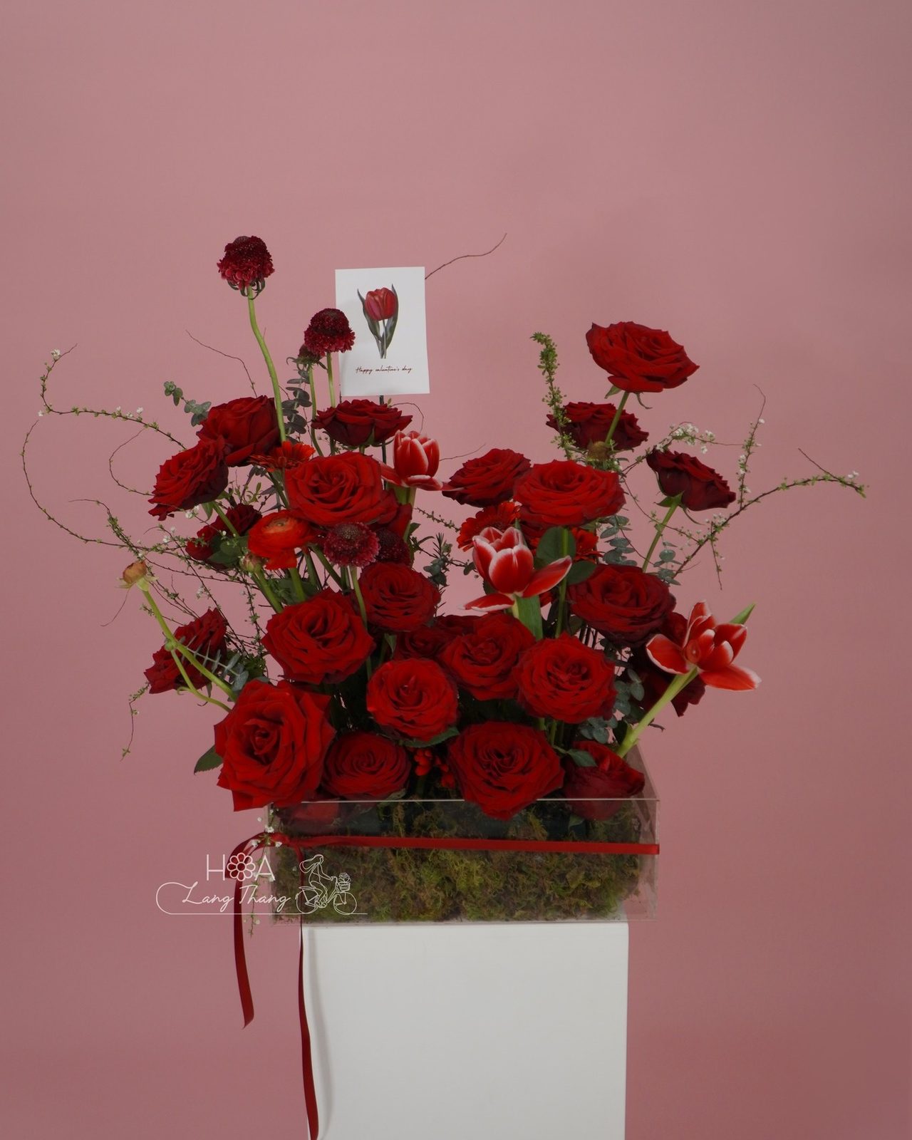 Hộp hoa hồng Red Naomi mix tulip Hà Lan viền mica - Crimson Elegance