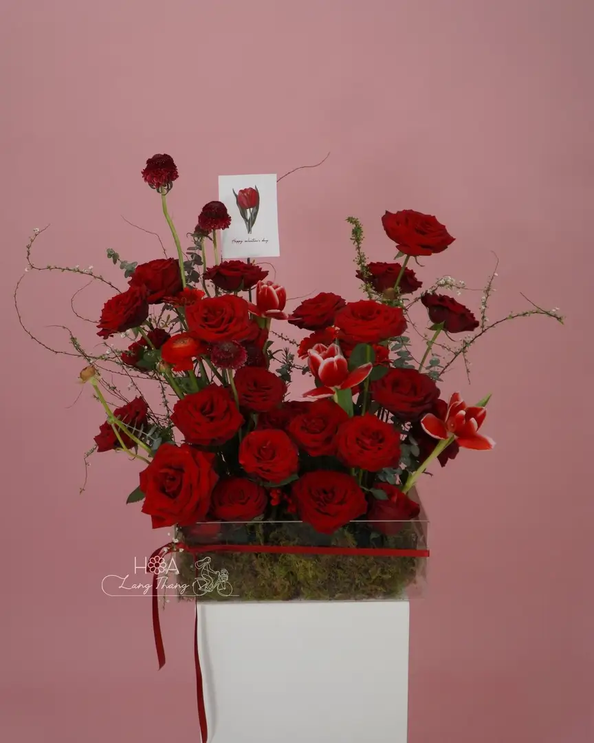 Hộp hoa hồng Red Naomi mix tulip Hà Lan viền mica - Crimson Elegance