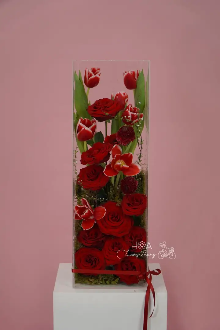 Hộp hoa tulip Red Naomi mix mica - Crimson Elegance - Thumbnail 3