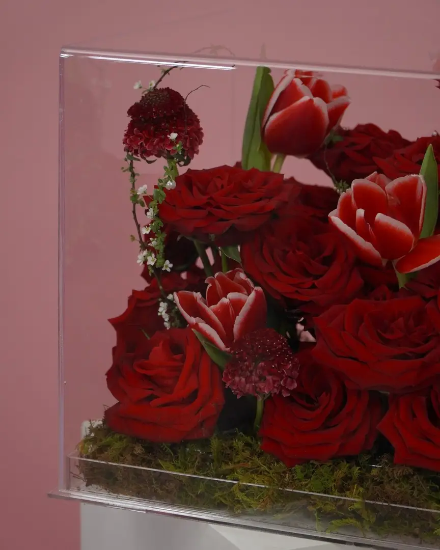 Hộp hoa hồng Red Naomi mix tulip Hà Lan mica - Crimson Elegance - Hoa Lang Thang