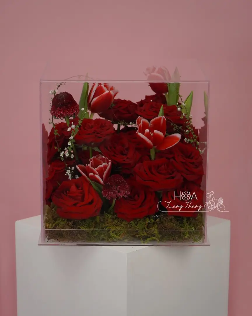 Hộp hoa hồng Red Naomi mix tulip Hà Lan mica - Crimson Elegance - Thumbnail 4