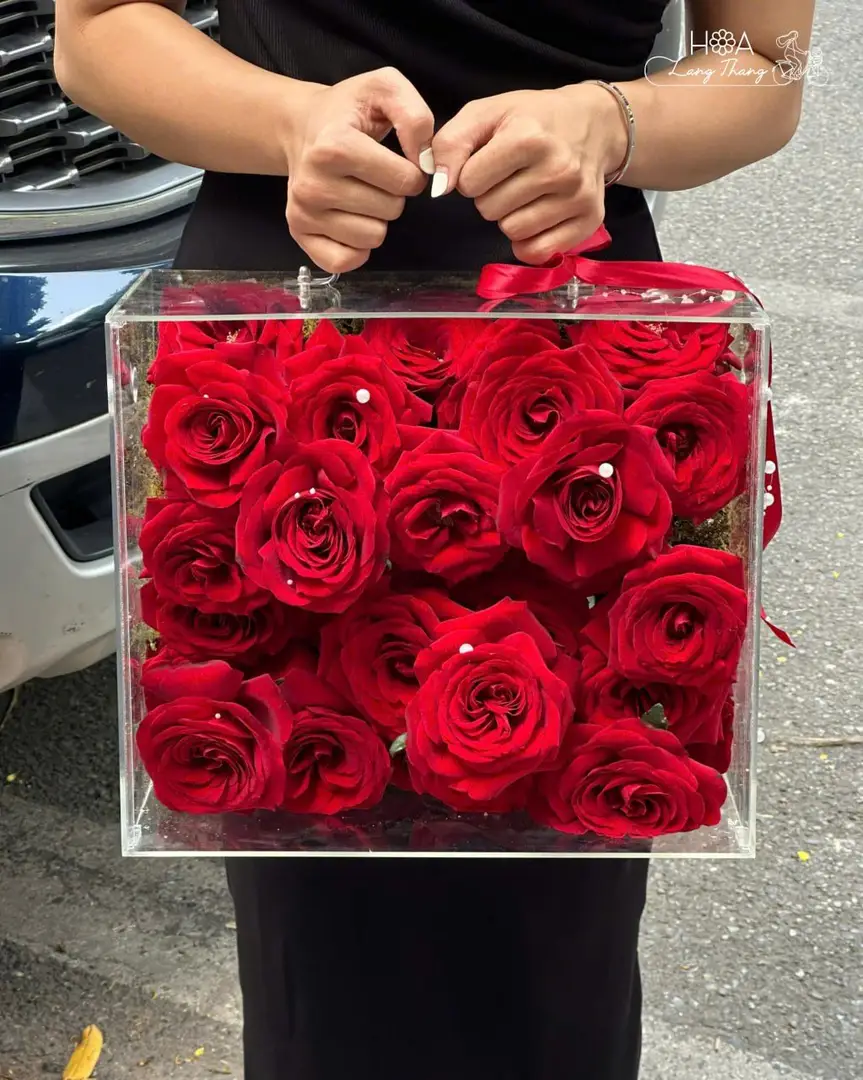 Hộp hoa hồng Red Naomi mica - Crimson Elegance