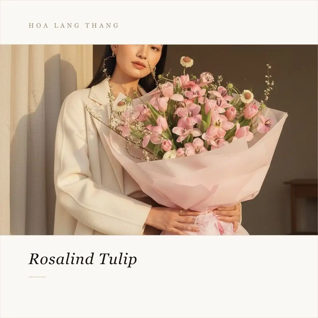 Bó hoa tulip Hà Lan trắng sữa gỗ - Creamy Elegance - Thumbnail 3
