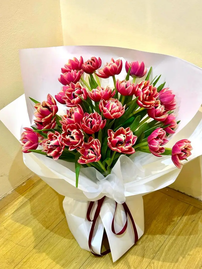 Bó hoa tulip cánh kép Hà Lan - Silk Elegance