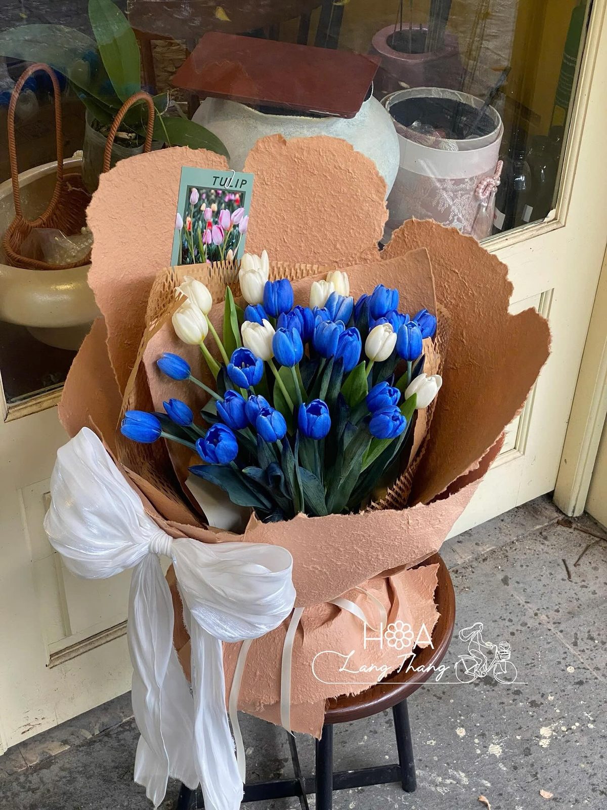Bó hoa tulip xanh mix trắng Hà Lan - Azure Whisper
