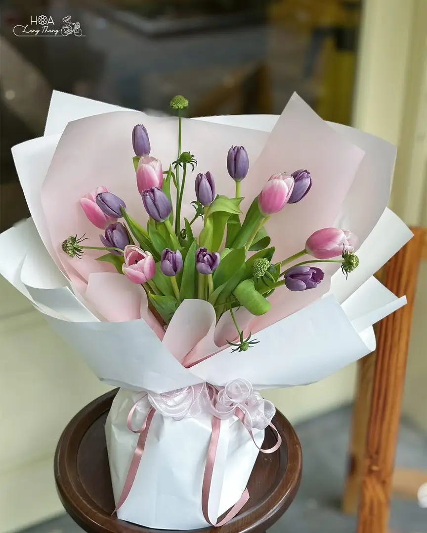 Bó hoa tulip hồng mix tím nhập khẩu - Hà Lan Dreamy Romance