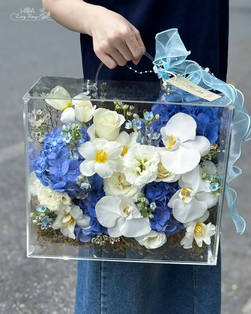Hộp hoa tulip Hà Lan mix cẩm tú cầu lan hồ điệp mica - Elegant Harmony
