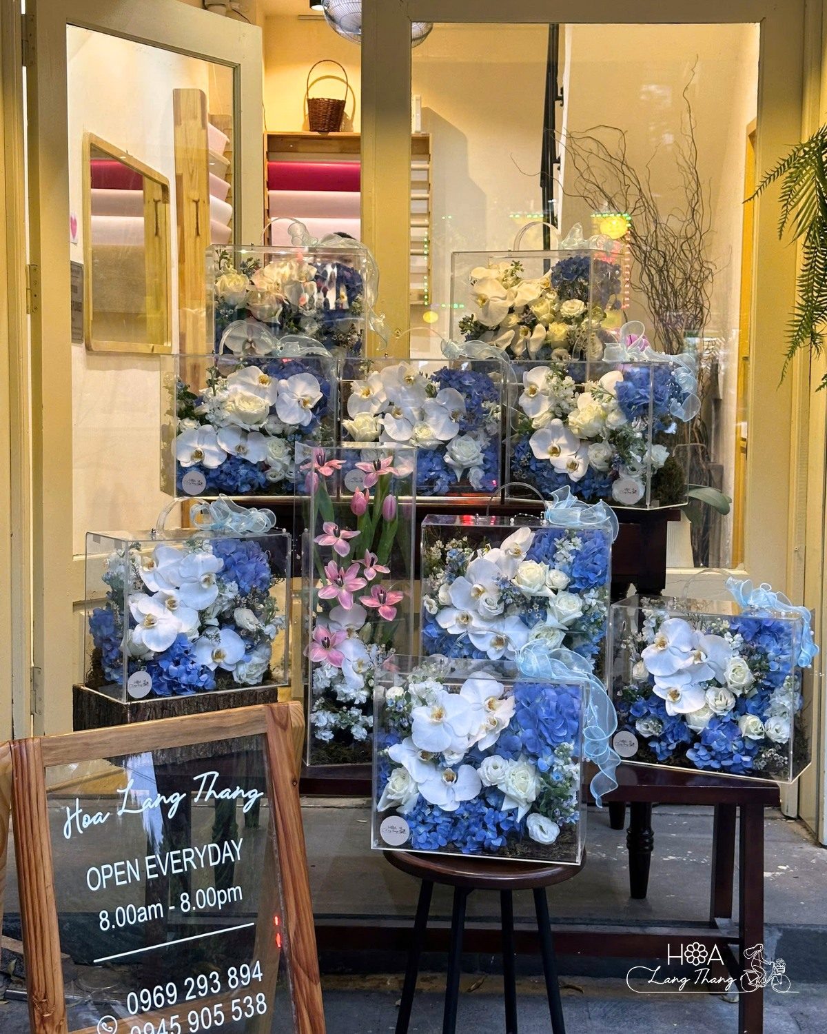 Hộp hoa cẩm tú cầu mica - Hydrangea Elegance — góc khác