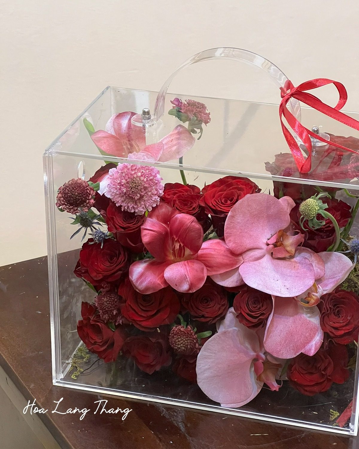 Vali sz vừa mix rednaomi , lan hồ điệp
