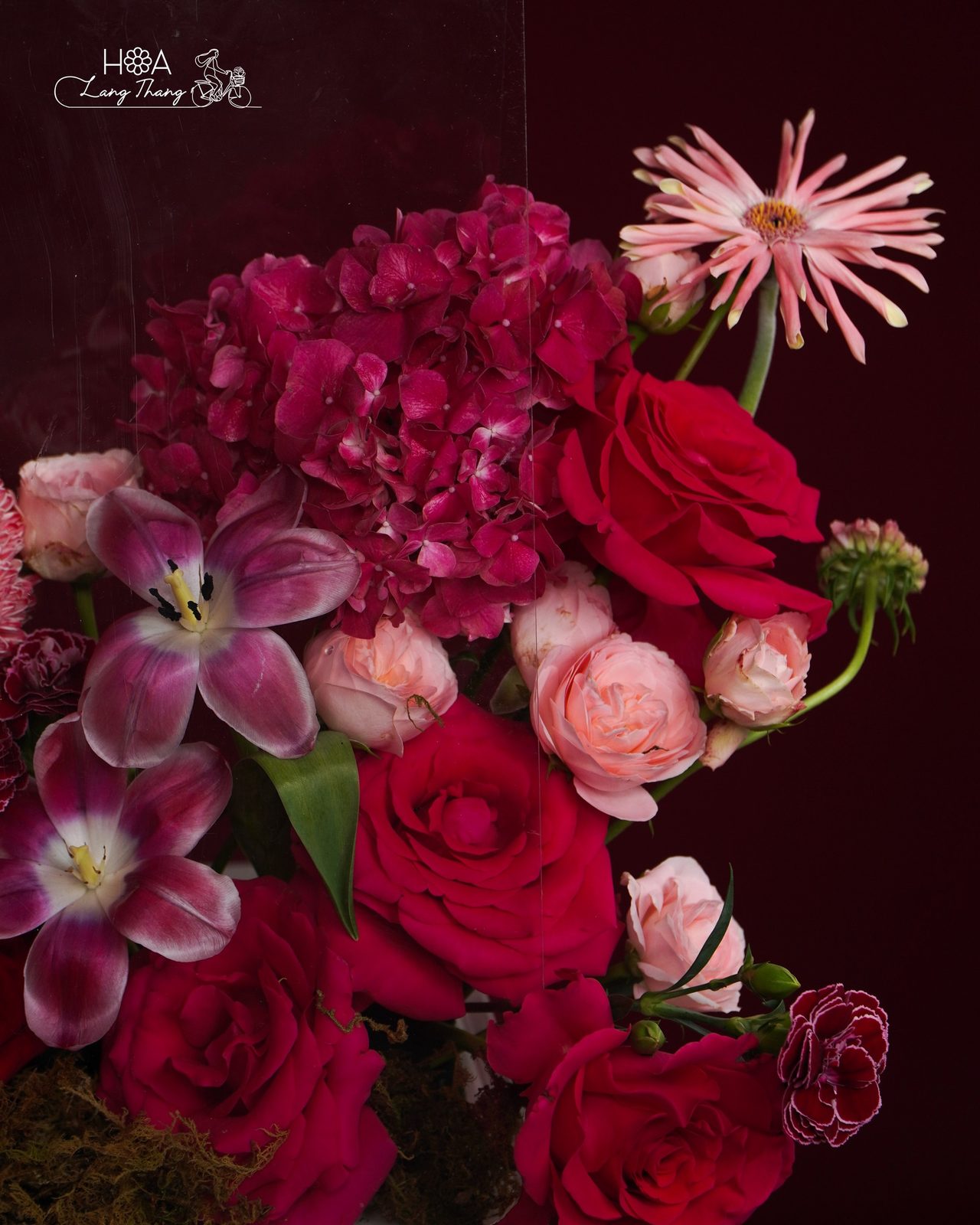 Hộp hoa hồng Red Naomi, tulip Hà Lan, cẩm tú cầu - Crimson Elegance — góc khác