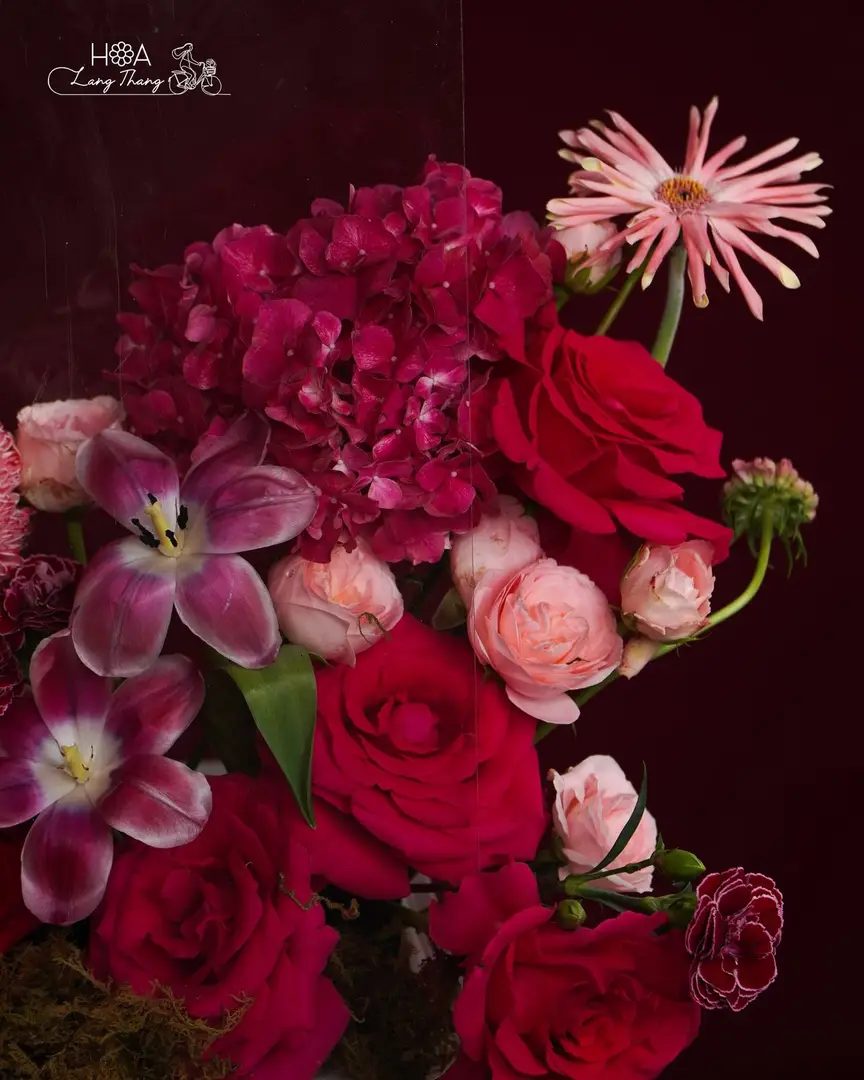 Hộp hoa hồng Red Naomi, tulip Hà Lan, cẩm tú cầu - Crimson Elegance — góc khác