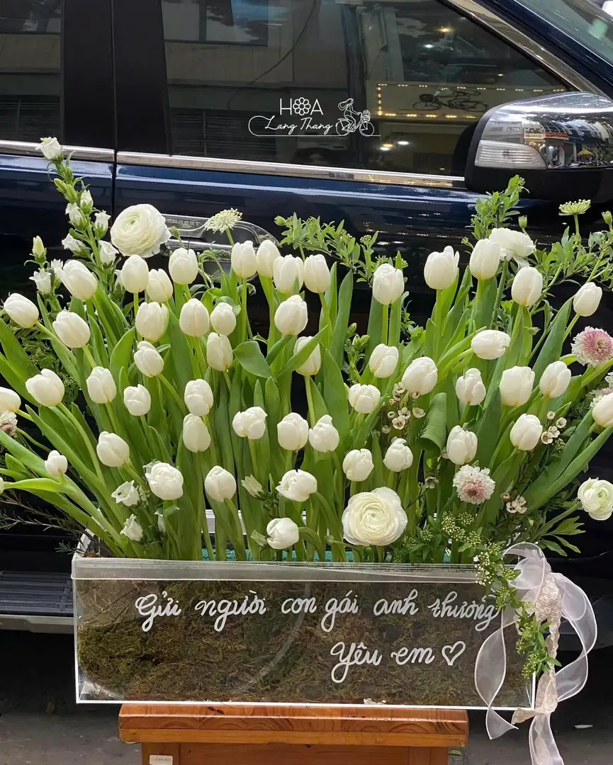 Hộp hoa tulip trắng Hà Lan mica - White Elegance - Hoa Lang Thang