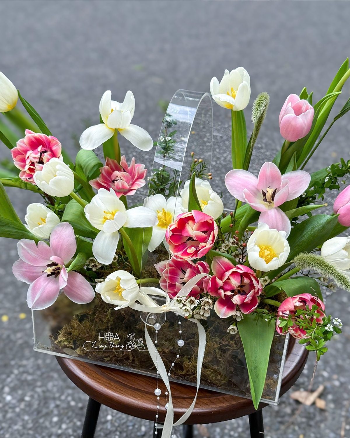 Hộp hoa tulip mix mica - Rainbow Elegance