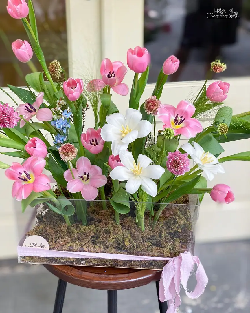 Hộp hoa tulip mix mica - Rainbow Elegance - Thumbnail 3