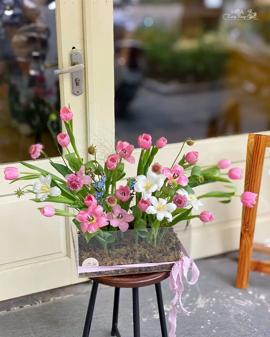 Hộp hoa tulip mix mica - Rainbow Elegance - Thumbnail 4